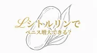 Lシトルリンでペニス増大できる?