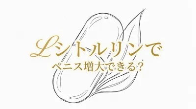 Lシトルリンでペニス増大できる?