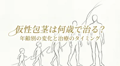 仮性包茎は何歳で治る？年齢別の変化と治療のタイミング