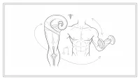 自宅で治す包茎治療とペニス増大、医師監修のメディカルワークアウトとは？